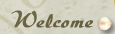 Welcome to Mary Jo Leisure, MDA wesite