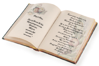 Diary of a Painter with Mary Jo Diary of a Painter with Mary Jo